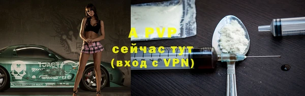PSILOCYBIN Абаза