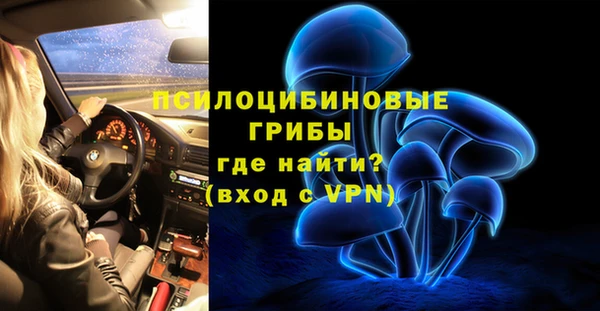 PSILOCYBIN Абаза